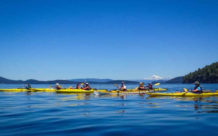 a line of yellow kayaks paddle on calm blue water on an outward bound trip